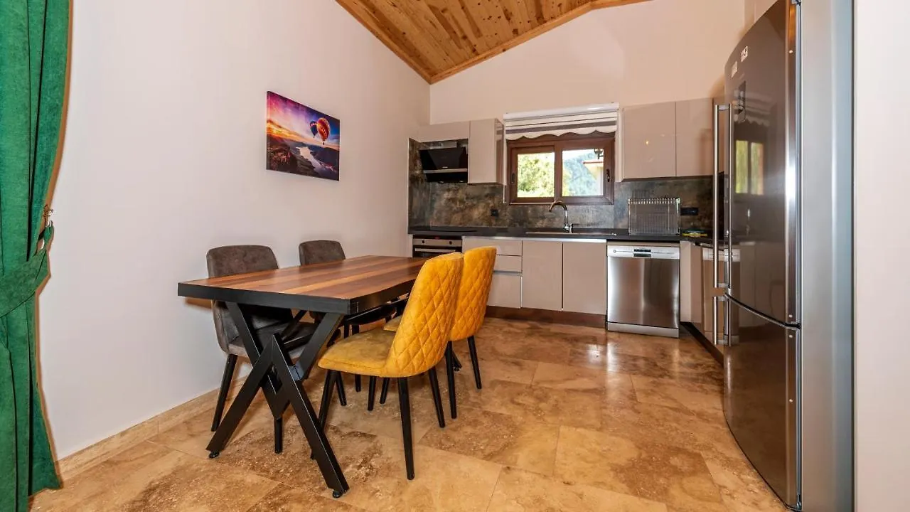 Cemre - 2 Bedroom Holiday Villa In Kayakoey Oeluedeniz Fethiye